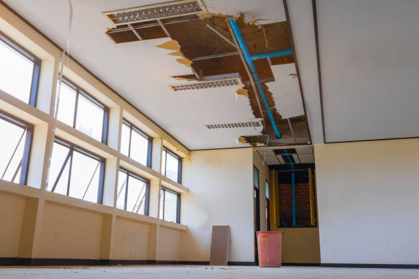  Abita Springs, LA Water damage restoration Pros