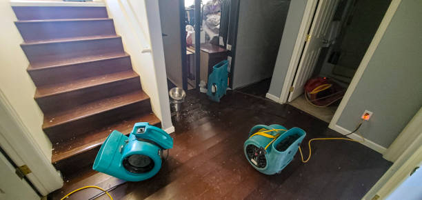 Best Water damage restoration near me  in Abita Springs, LA