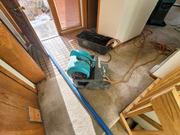 Best Mold removal after water damage  in Abita Springs, LA