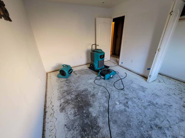Best Flood damage cleanup  in Abita Springs, LA