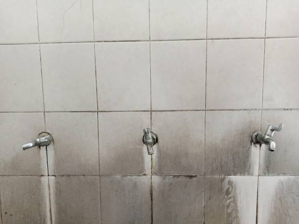 Best Water damage restoration process  in Abita Springs, LA