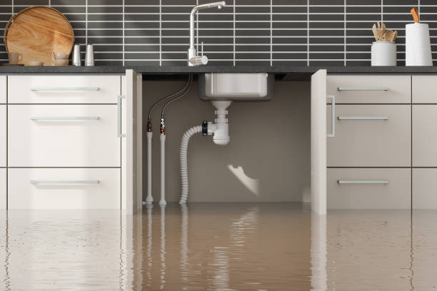 Best Basement water damage restoration  in Abita Springs, LA