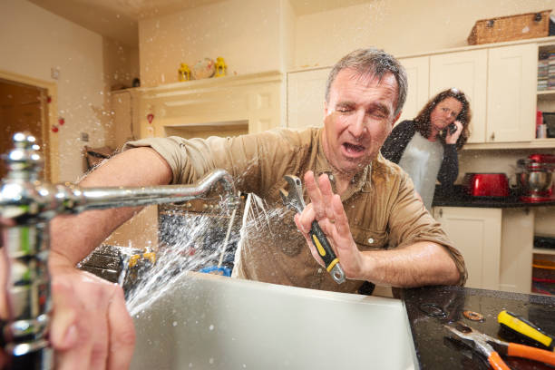 Best Flooded house restoration  in Abita Springs, LA